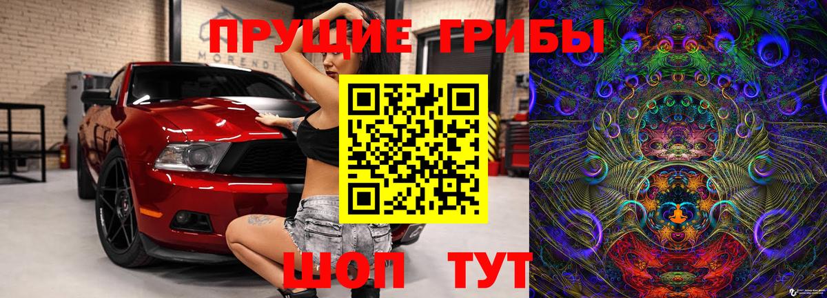 Галлюциногенные грибы Psilocybe  Вход с VPN  Галлюциногенные грибы Magic Shrooms  Звенигород 
